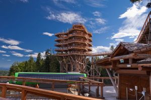 Wieża w koronach drzew – atrakcja w Krynicy Zdroju zimą