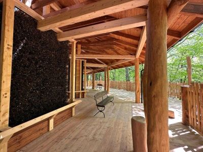 Tężnia solankowa w Krynicy