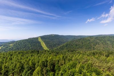 Beskid Sądecki Szlaki